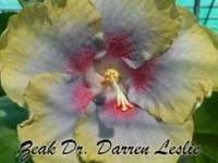 zeak-doctor-darren-leslie-80a5e19255f6dae7c5fcb03defacc9efbb0d21c1