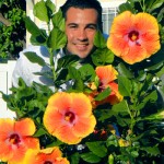 Darren and his beautiful hibiscus 