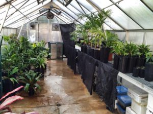 Len's Greenhouse