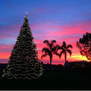 Southern-California-Christmas-at-@terranearesort