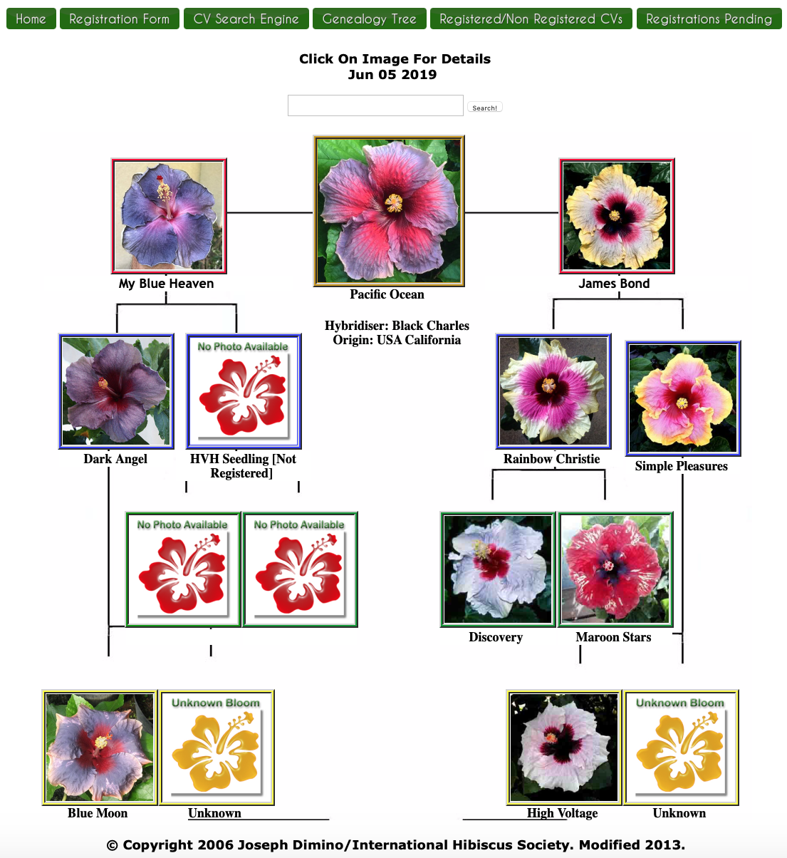 Hybridizing – Southern California Hibiscus Society