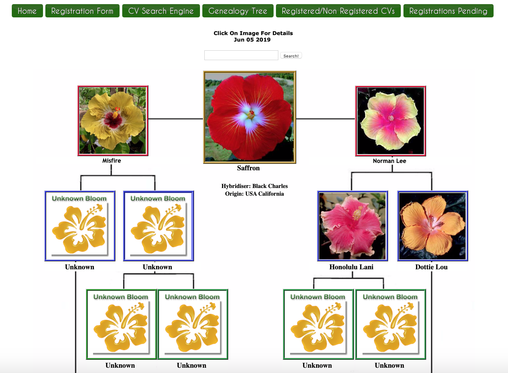 Hybridizing – Southern California Hibiscus Society
